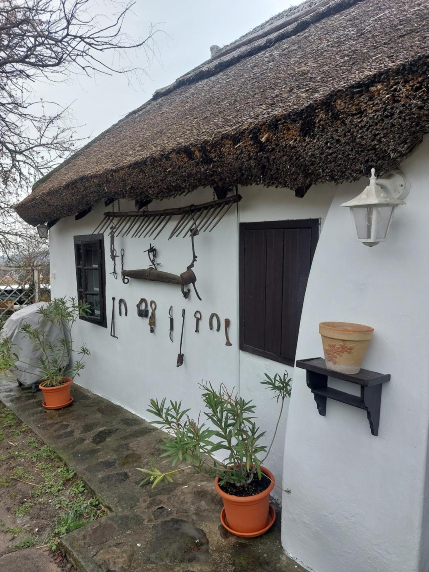 Babamúzeum 4 fős apartman Tihany Exterior foto